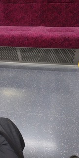 va8148.jpg