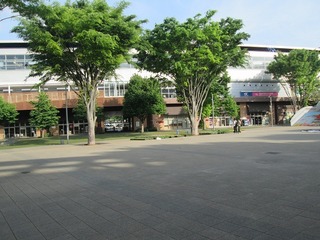 va8257.jpg