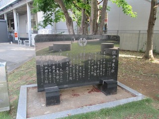 va8261@.jpg