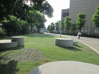va8262@.jpg