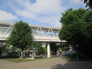 va8263.jpg