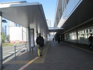 va8303.jpg