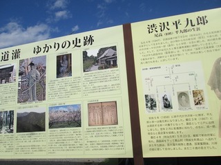 va9165@.jpg