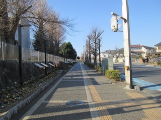 va9298@.jpg