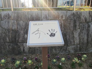 va9300@.jpg
