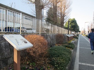 va9301.jpg