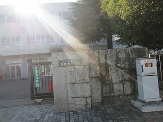 va9305.jpg