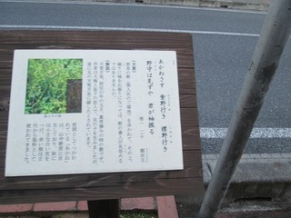 va9476 @.jpg