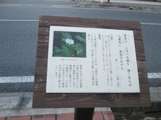 va9477@.jpg