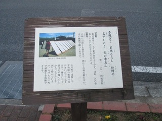 va9478@.jpg