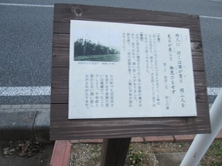 va9499.jpg