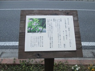 va9500@.jpg