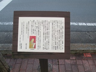 va9502@.jpg