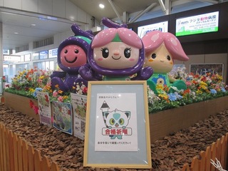 va9576@.jpg