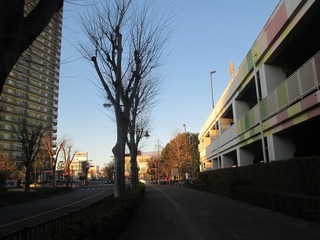 va9593@.jpg