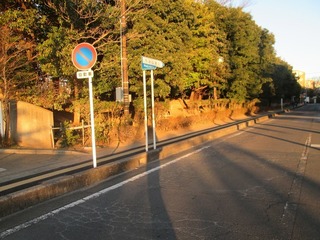 va9594.jpg
