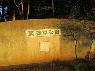 va9595@.jpg