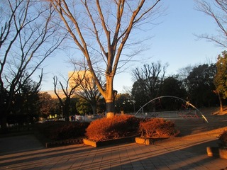 va9600@.jpg