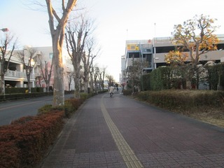 va9604@.jpg