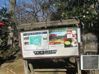 va9626.jpg