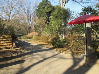 va9627@.jpg