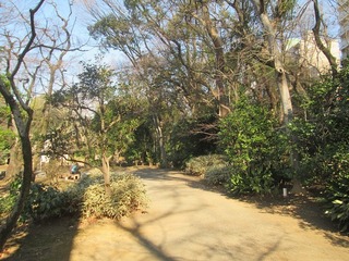 va9628@.jpg
