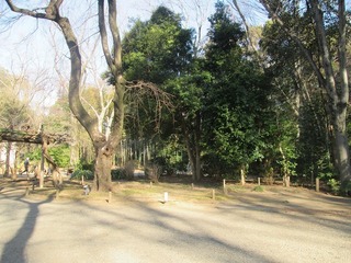 va9630@.jpg