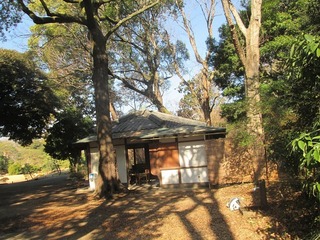 va9633 .jpg