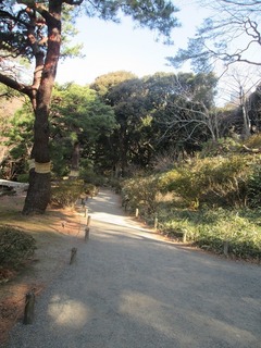 va9641@.jpg