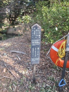va9643.jpg