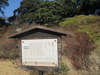 va9650.jpg