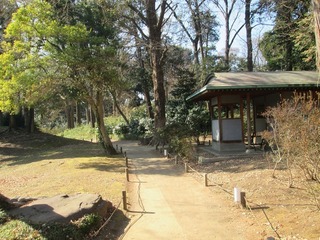 va9660@.jpg