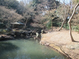 va9665@.jpg