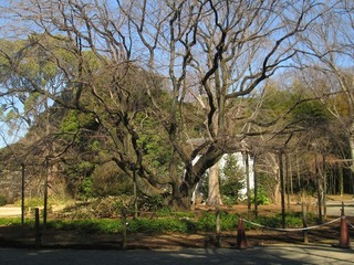 va9687@.jpg