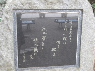 va9723.jpg