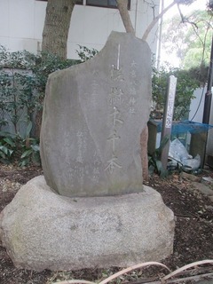 va9724@.jpg