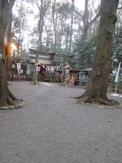 va9742@.jpg