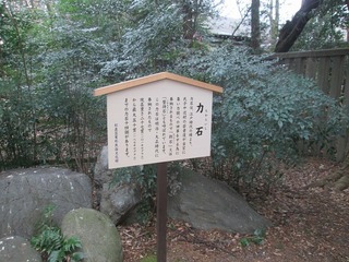 va9744.jpg