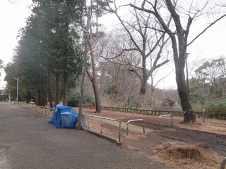 va9750@.jpg