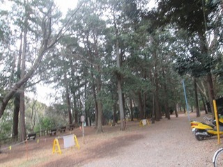 va9751@.jpg