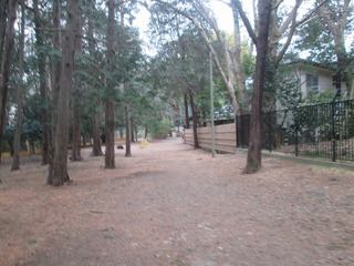 va9752.jpg