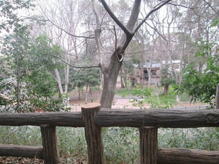 va9756@.jpg