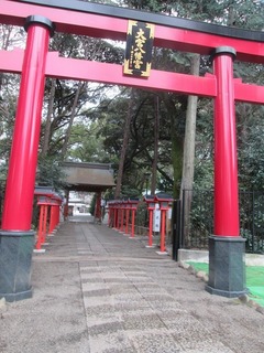 va9761@.jpg