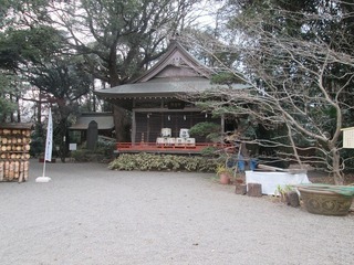 va9766@.jpg