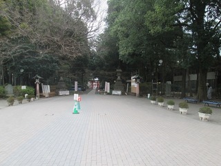 va9767.jpg