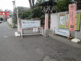 va9769.jpg
