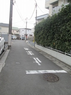 va9772.jpg