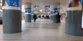 va9781@.jpg