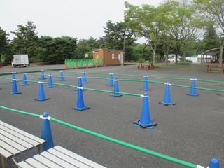 vm4687.jpg