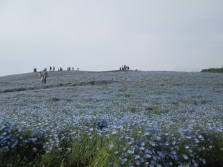 vm4702.jpg